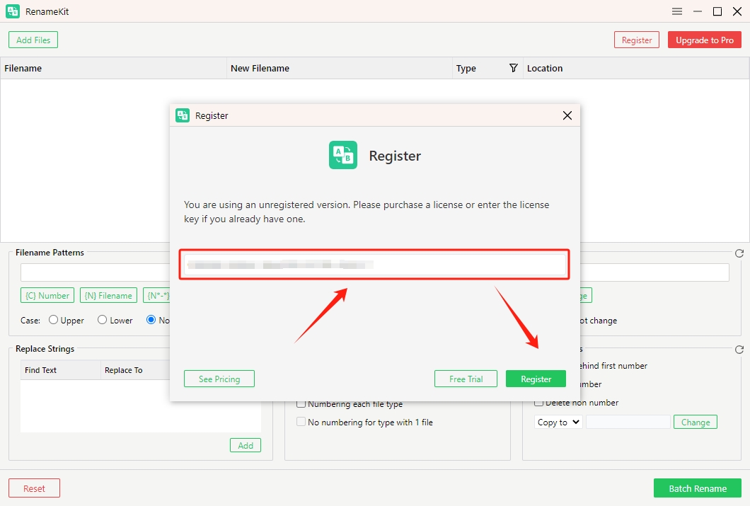 enter renamekit license key